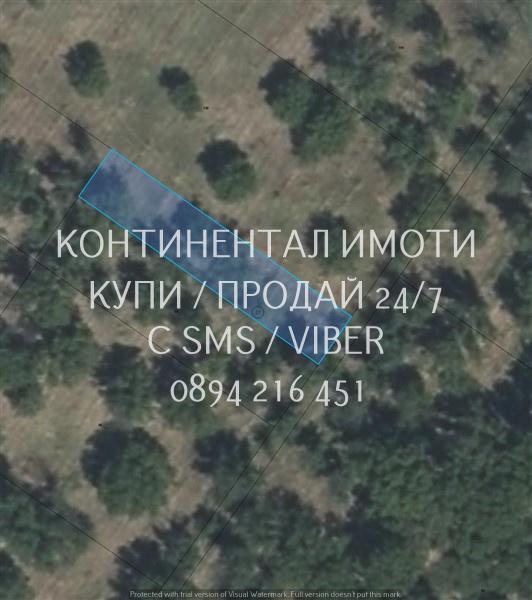 коддд 63118. Орехи 550м2 сред голям орехов масив близо до двореца на Ц