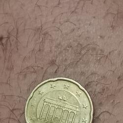 Германска евро монета от 20евро цента 2021с F