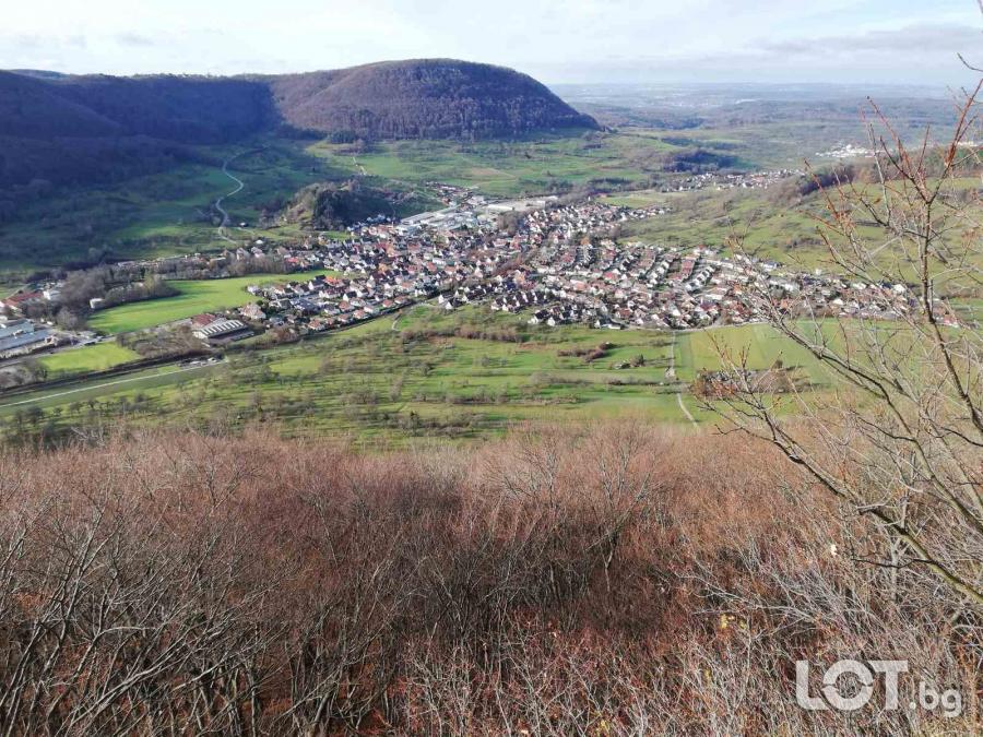 Студенти Транспортни и Хамалски Услуги в София