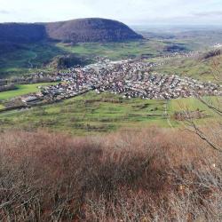 Студенти Транспортни и Хамалски Услуги в София