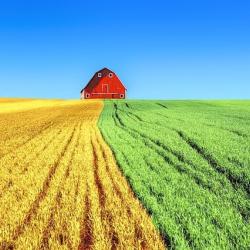 Купувам Земеделска Земя всички землища в Община Бобошево