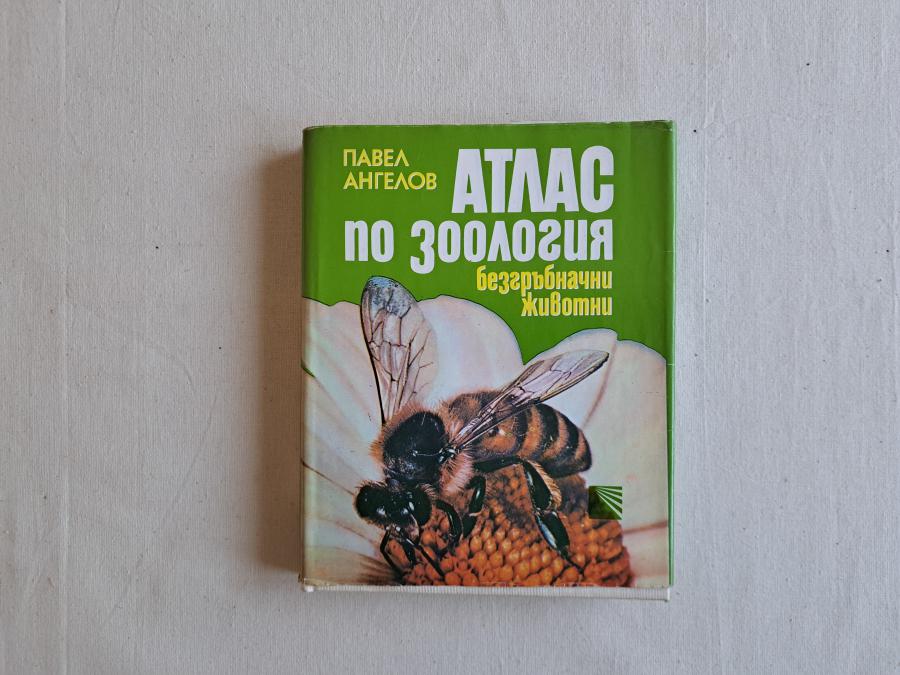 Атлас по зоология - Безгръбначни животни.