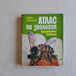 Атлас по зоология - Безгръбначни животни.