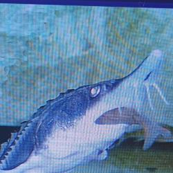 Търся съдружник за европроект.