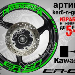 Kawasaki Er-6n Green