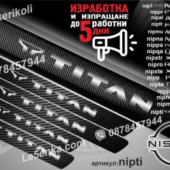 Nissan Titan прагове от карбон