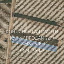 Код 63108. Лозе 1600м2, гледано в идеално състояние и големи добиви. Л