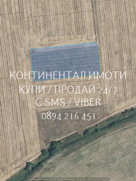 кодл 63087. Овощна градина 4800м2 с правилна форма, кат. 4-та, сега ни