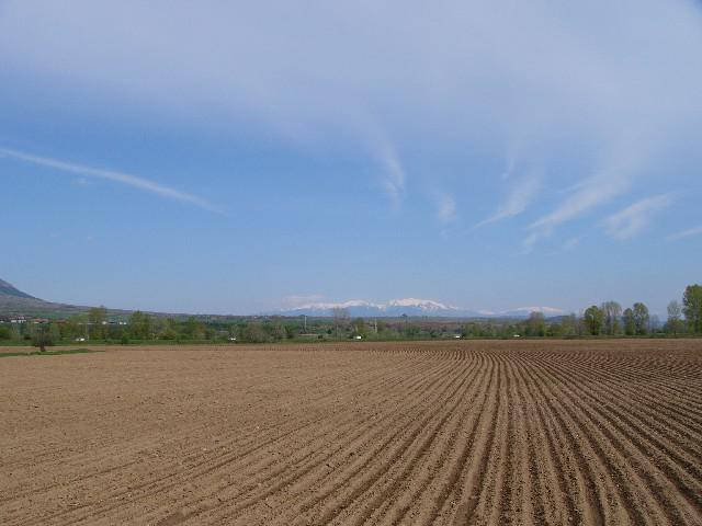 Купувам Земеделска Земя 0878343312