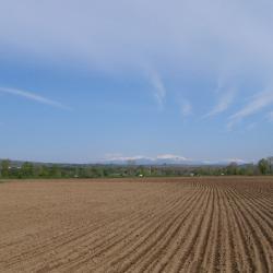 Купувам Земеделска Земя 0878343312