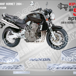 Honda Cb900f Hornet 2004 - Black Version