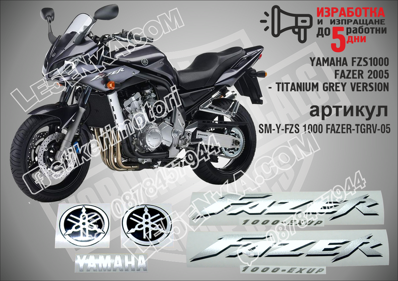 Yamaha Fzs1000 Fazer 2005 - Titanium Grey Version