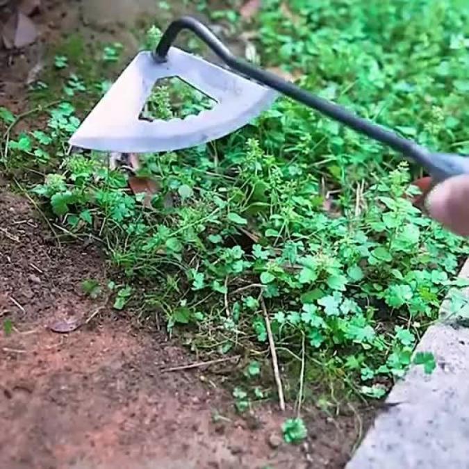 Мотика за плевели от закалена стомана, 30 см, куха дръжка