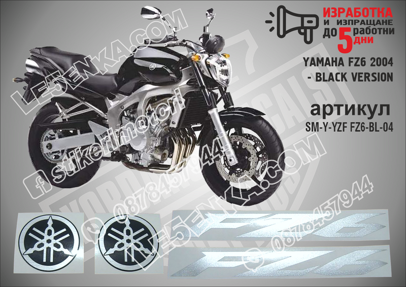 Yamaha FZ6 2004 - Black Version