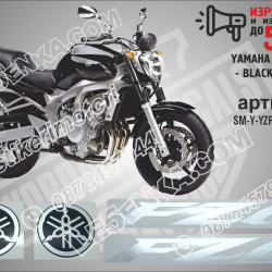 Yamaha FZ6 2004 - Black Version