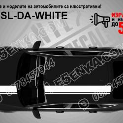 Вариант 3 - Двойни асиметрични бели