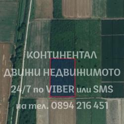 Код 62436 Овощна градина 6500м2, 4-та кат