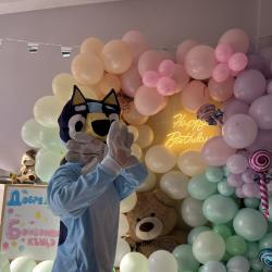 Детски рожден ден с любим гетой