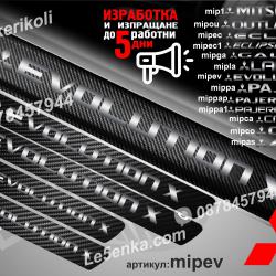 Mitsubishi Evolution X прагове от карбон