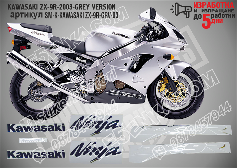 Kawasaki Zx-9r-2003-grey Version