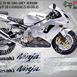 Kawasaki Zx-9r-2003-grey Version