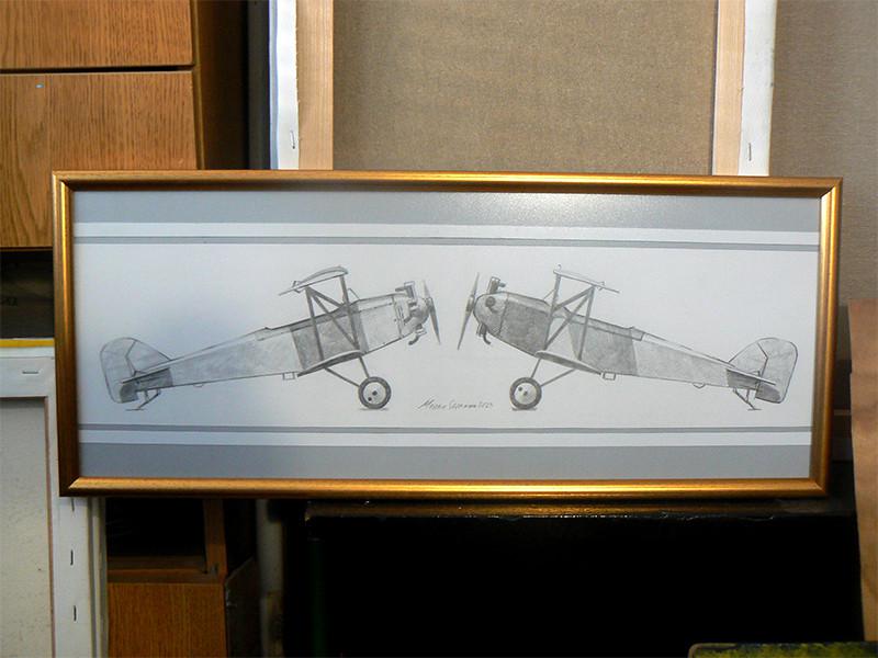 Рисунка с Български самолети Дар-1 и Дар-1а.