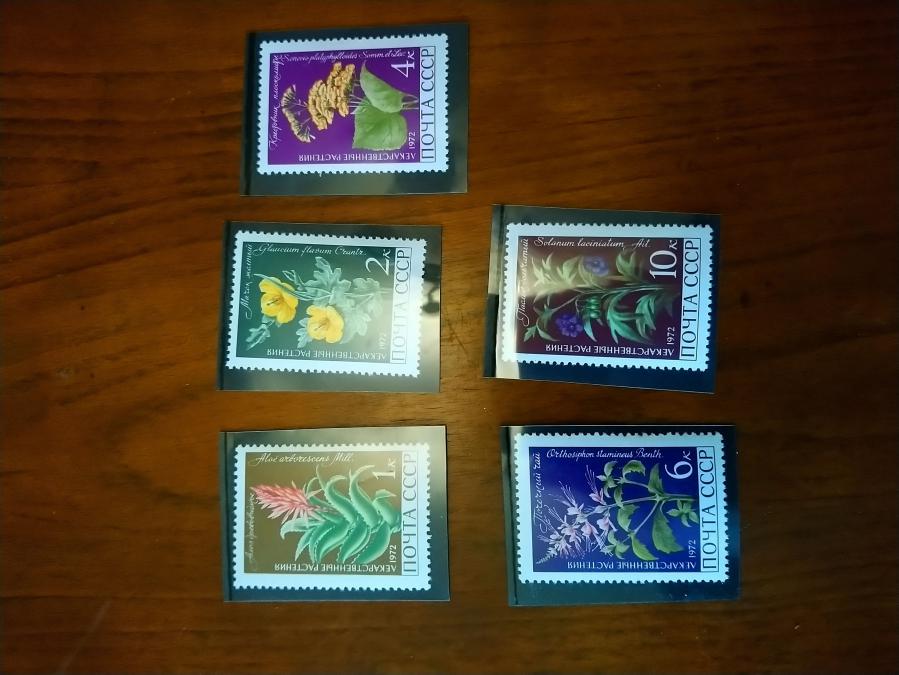 Серия от 5 пощенски марки от Ссср 1972 г.