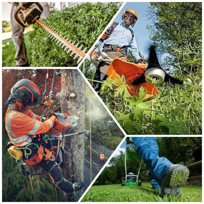 Опасни дървета рязане косене непроходима растителност почистване от-до