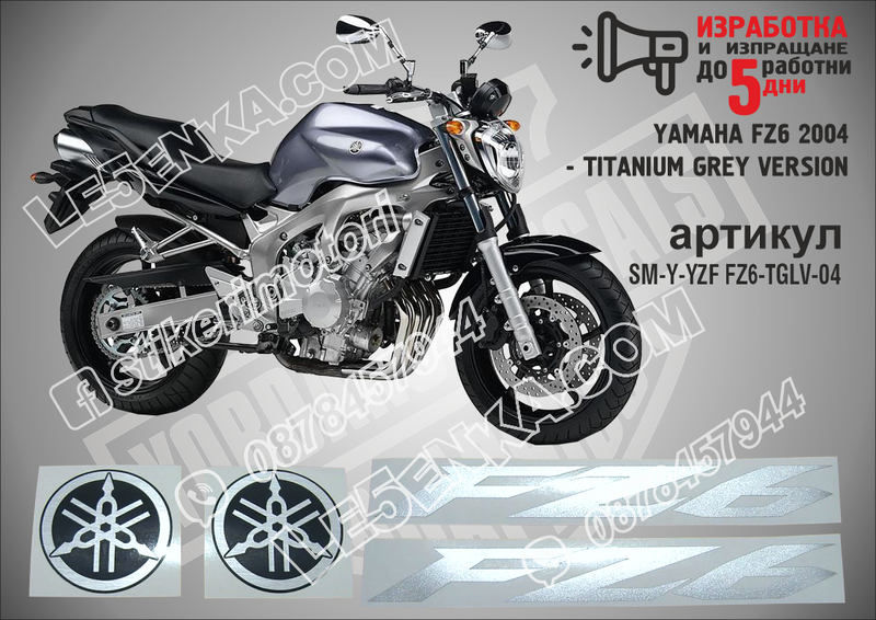 Yamaha FZ6 2004 - Titanium Grey Version