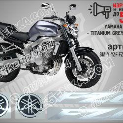 Yamaha FZ6 2004 - Titanium Grey Version