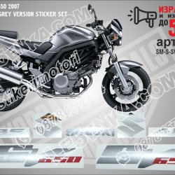 Suzuki Sv650 2007 - Titanium Grey Version