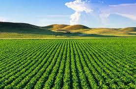 Купувам Земеделска Земя всички землища област Пазарджик
