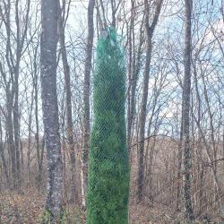 Мрежа за туя мрежи за туи