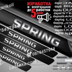 Dacia Spring прагове от карбон