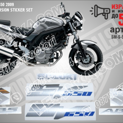 Suzuki Sv650 2009 - Silver Version