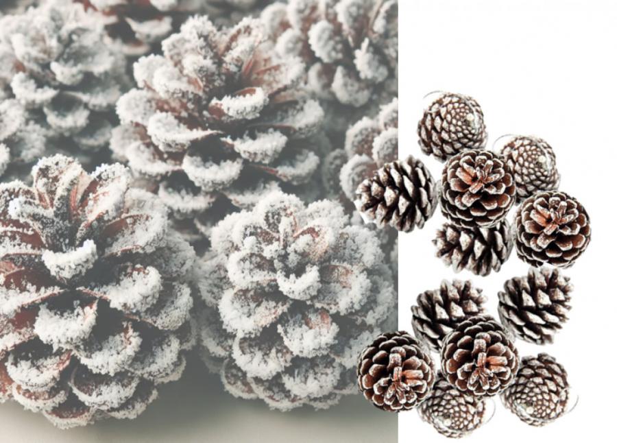 Комплект от 6 или 12 броя коледни шишарки