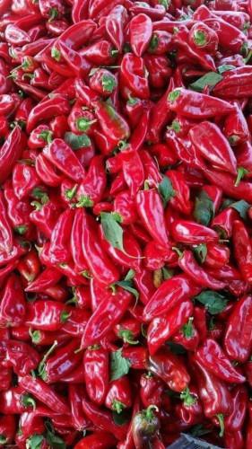 Разнос на търговия