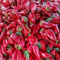 Разнос на търговия