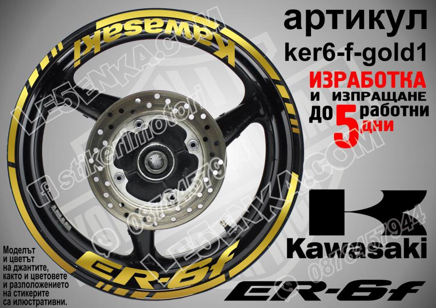 Kawasaki Er-6f Gold