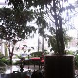 Иван Насков Иван Насков