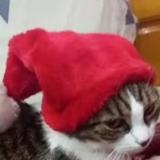 Jessy