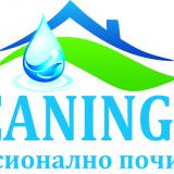 Клеанинг-бг