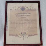 Силвия Силвия